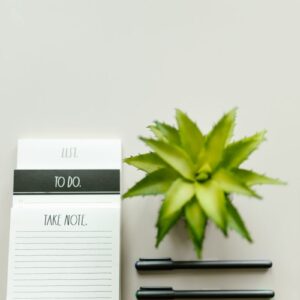 Elegant flat lay of a notepad and pen beside a green plant on a clean white surface.