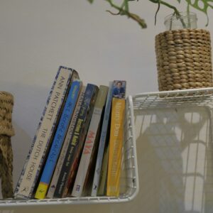 a white shelf holding books and a plant